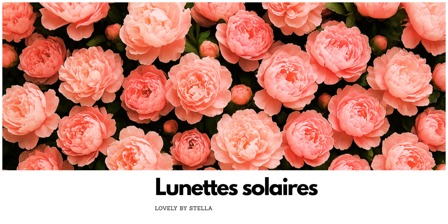 Lunettes solaires