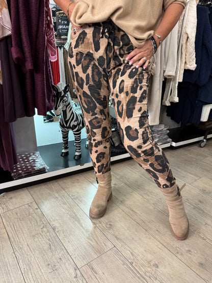 Pantalon velours Léo