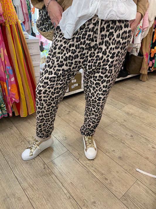 Pantalon léopard gde taille