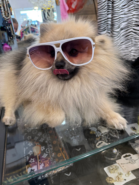 Lunettes Jessy